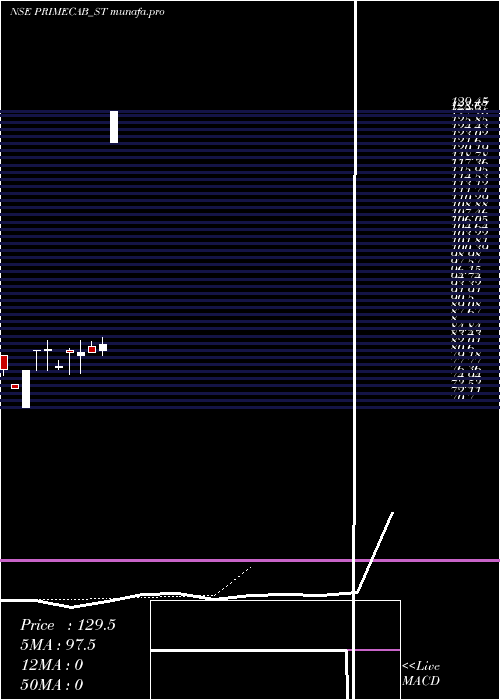  Daily chart PrimeCable