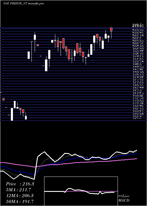 Daily chart PrizorViztech