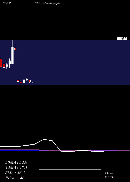 monthly chart PulzElectronics