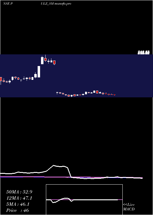 weekly chart PulzElectronics