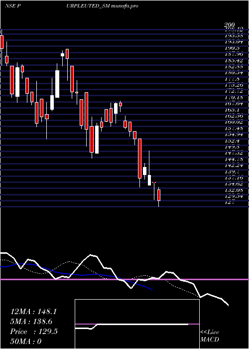  Daily chart PurpleUnited