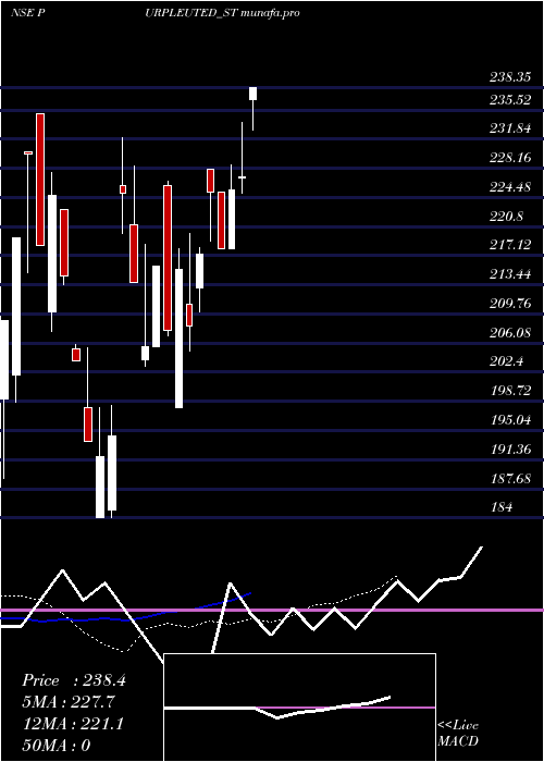 Daily chart PurpleUnited
