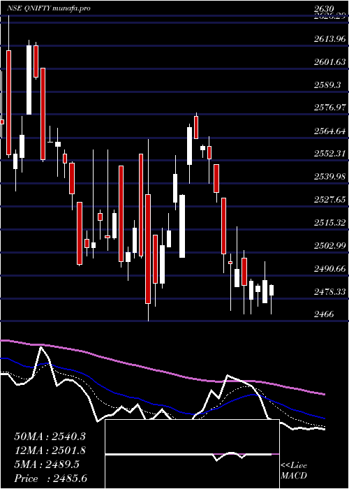  Daily chart QuantumIndex