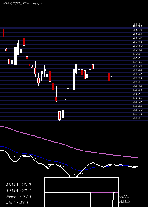 Daily chart QvcExports