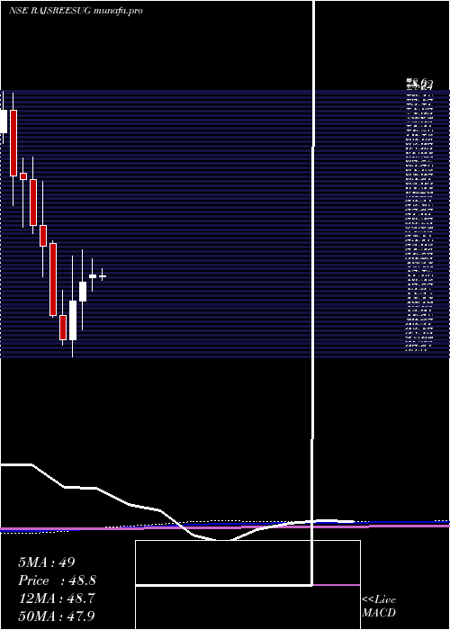 monthly chart RajshreeSugars
