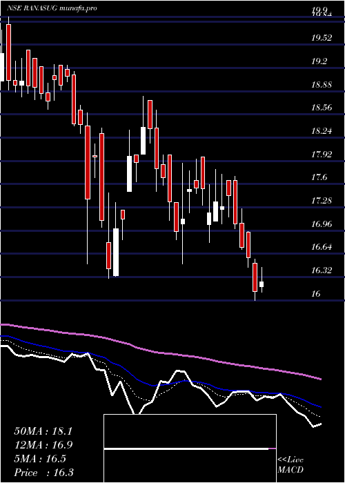  Daily chart RanaSugars