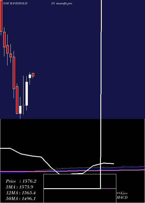  monthly chart RaneHoldings