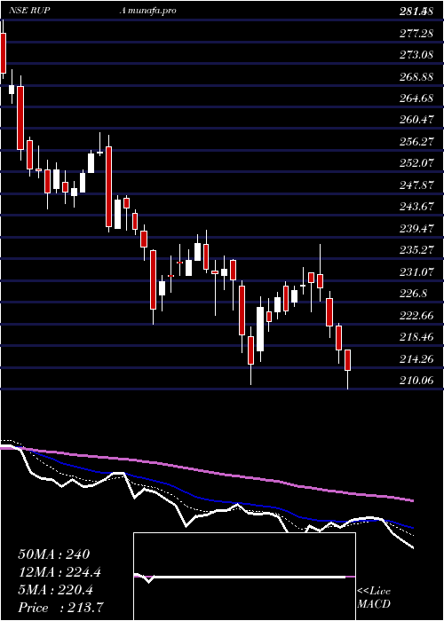  Daily chart RupaCompany