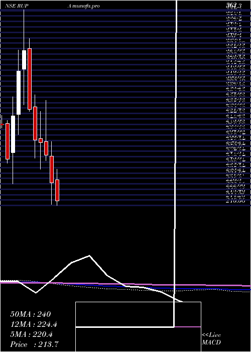  monthly chart RupaCompany