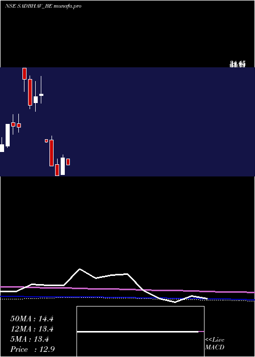 monthly chart SadbhavEngineering