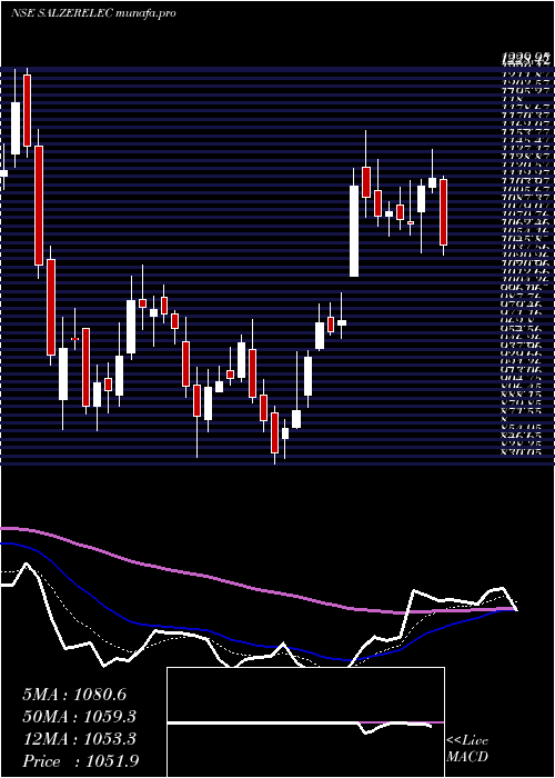  Daily chart SalzerElectronics