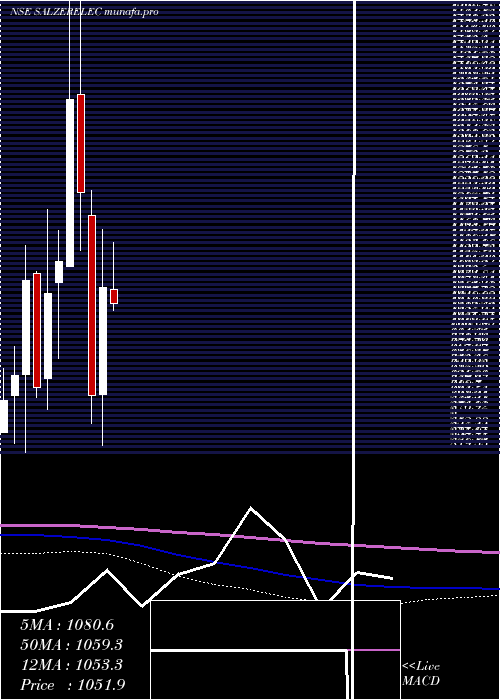  monthly chart SalzerElectronics