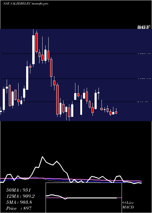 weekly chart SalzerElectronics