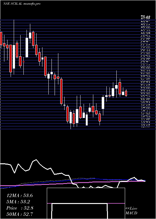  weekly chart ShippingCorp