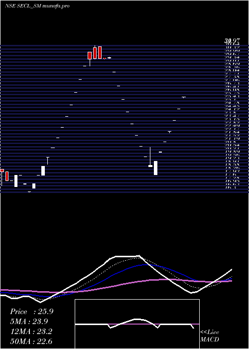  Daily chart SalasarExterior