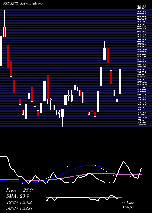  weekly chart SalasarExterior