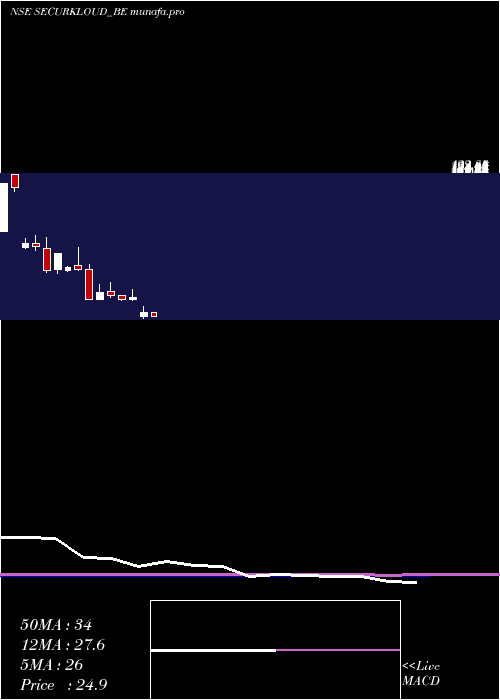 monthly chart SecurekloudTech