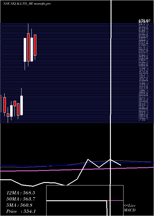  monthly chart SejalGlass