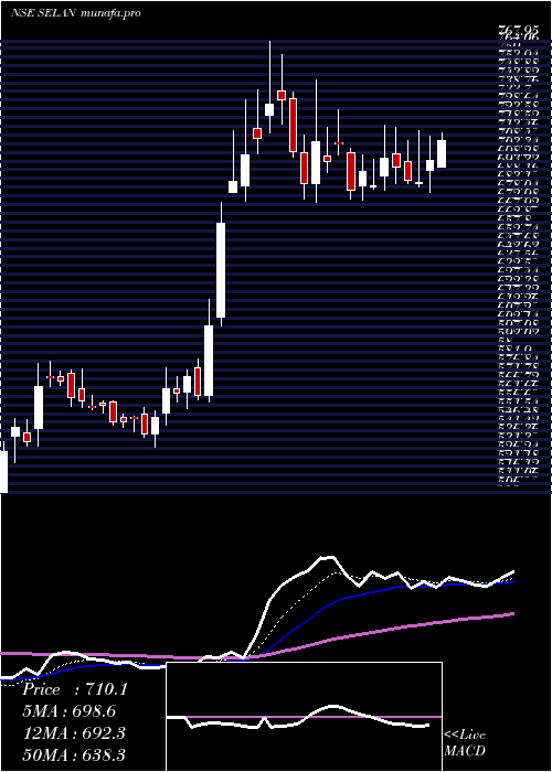 Daily chart SelanExploration