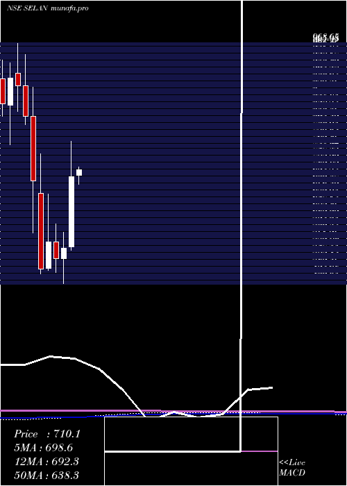monthly chart SelanExploration