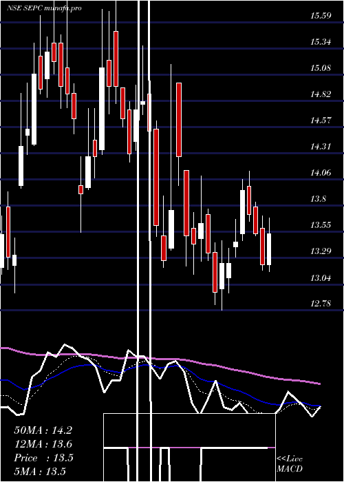  Daily chart Sepc