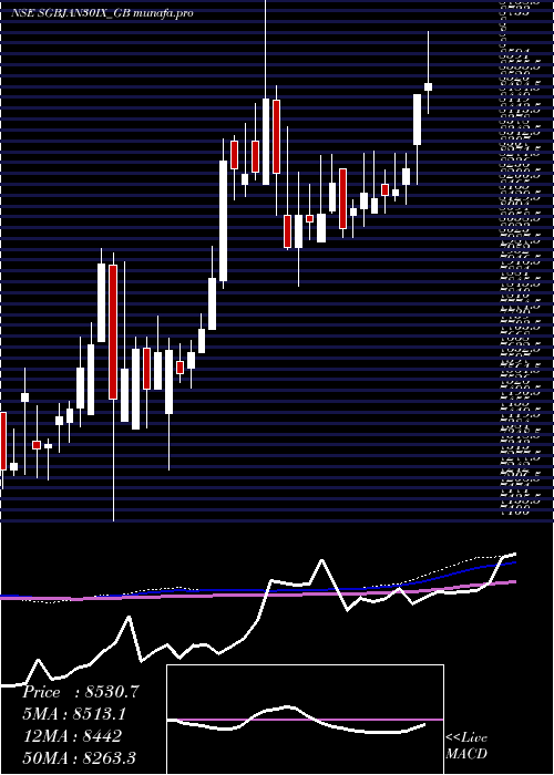  weekly chart 250