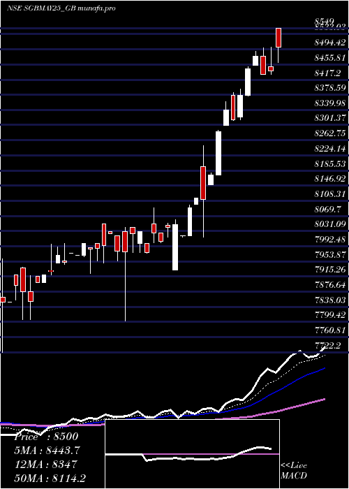  Daily chart Sgb250