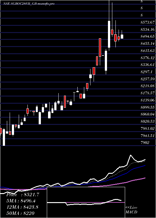  Daily chart 250