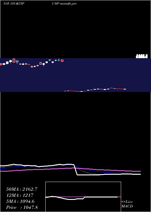  Daily chart ShaktiPumps