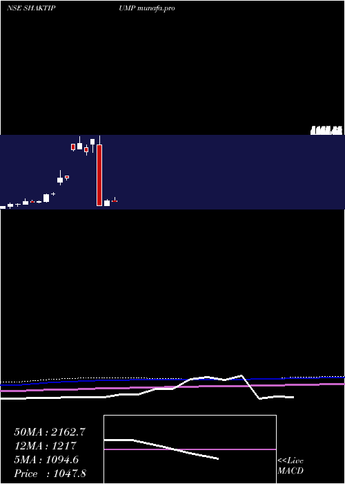  monthly chart ShaktiPumps