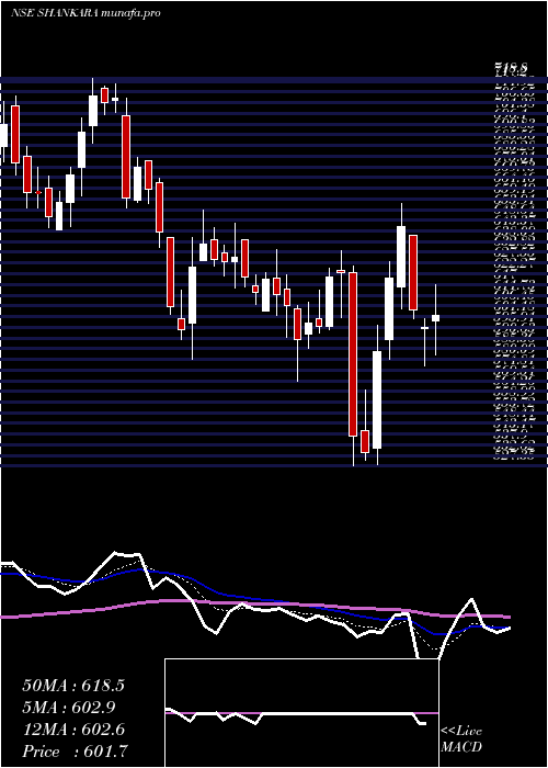  Daily chart ShankaraBldg