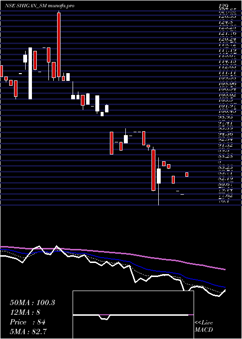  Daily chart ShiganQuantum