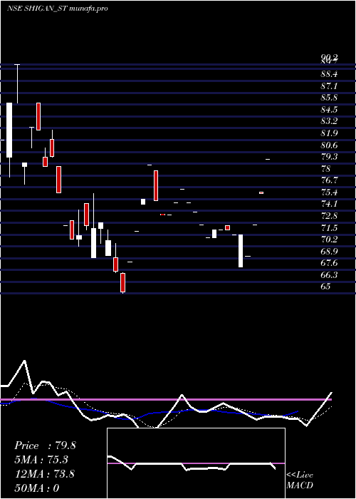 Daily chart ShiganQuantum