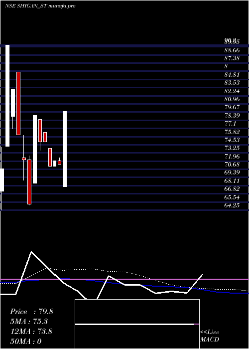 weekly chart ShiganQuantum