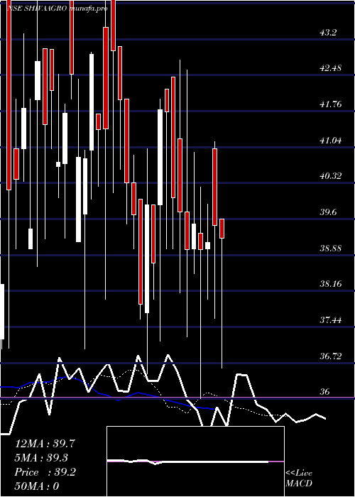  Daily chart ShivaGlobal