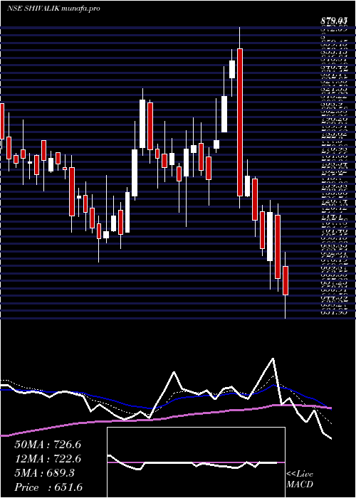  Daily chart ShivalikRasayan