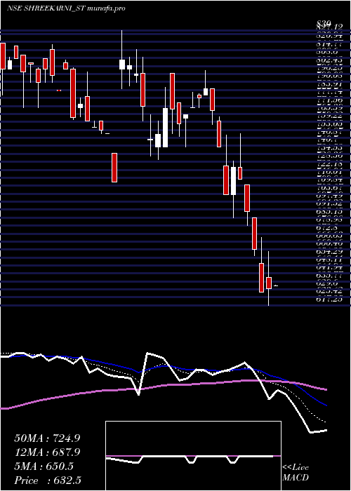  Daily chart ShreeKarni