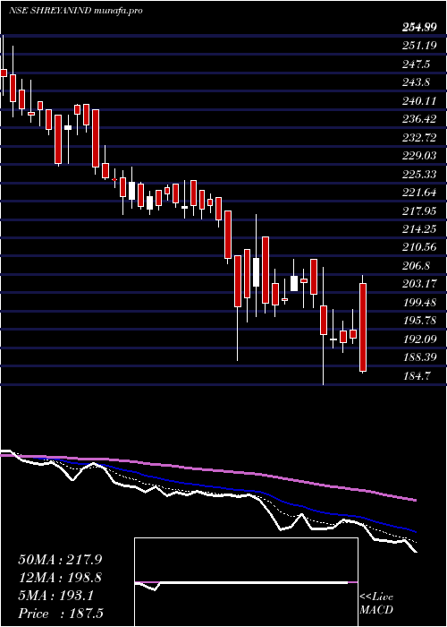  Daily chart ShreyansIndustries