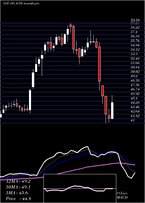  Daily chart SigachiIndustries