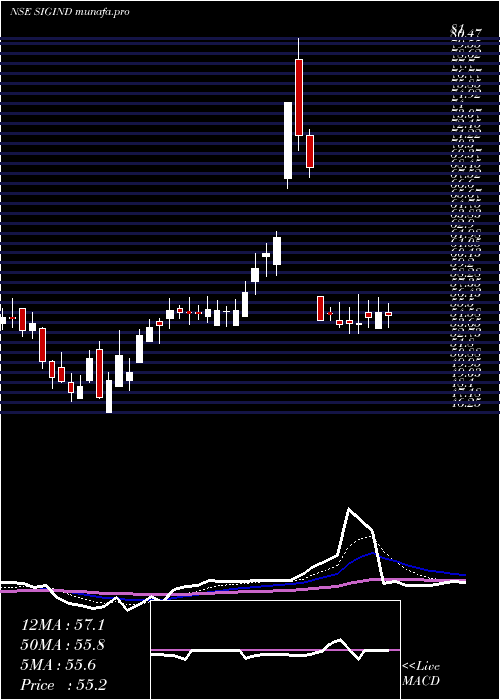  Daily chart SignetIndustries