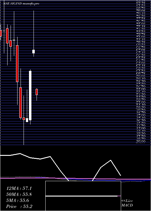  monthly chart SignetIndustries
