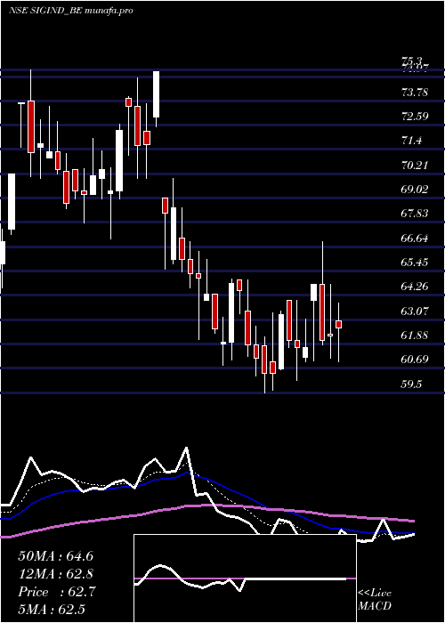 Daily chart SignetIndustries