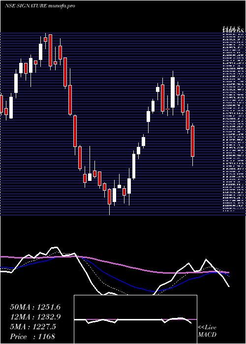  Daily chart SignatureglobalIndia