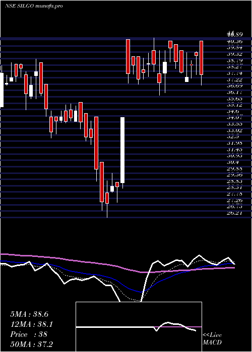  Daily chart SilgoRetail