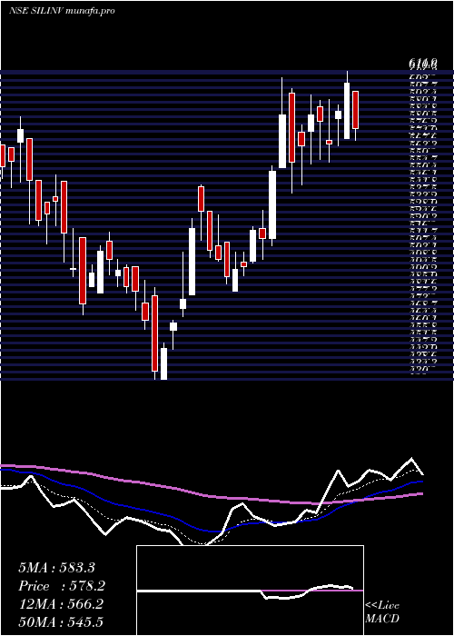  Daily chart SilInvestments