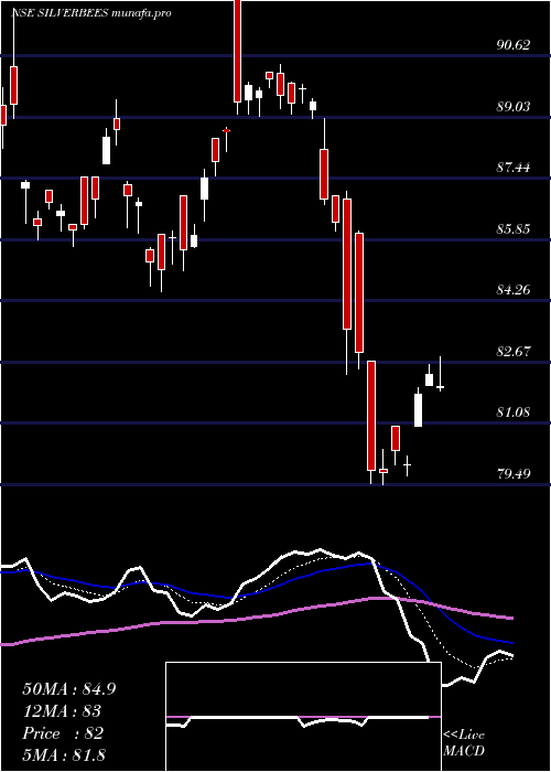  Daily chart NipponamcNetfsilver