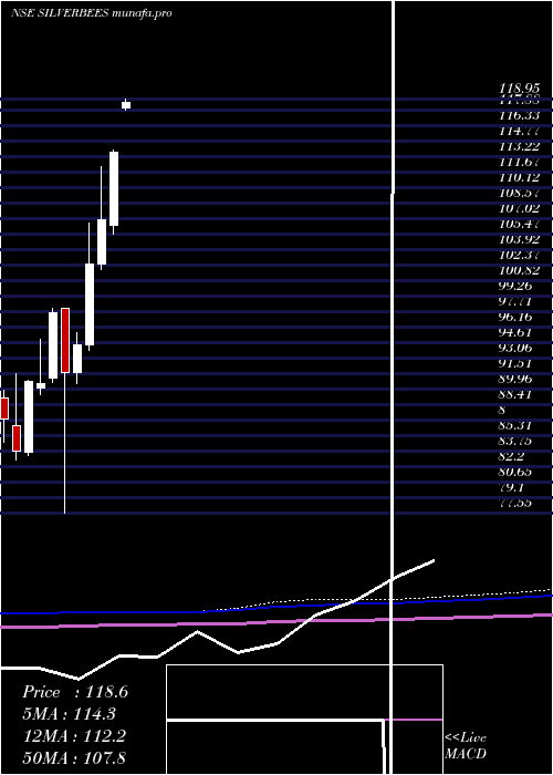  monthly chart NipponamcNetfsilver