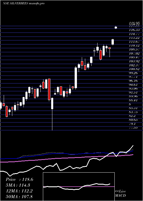  weekly chart NipponamcNetfsilver