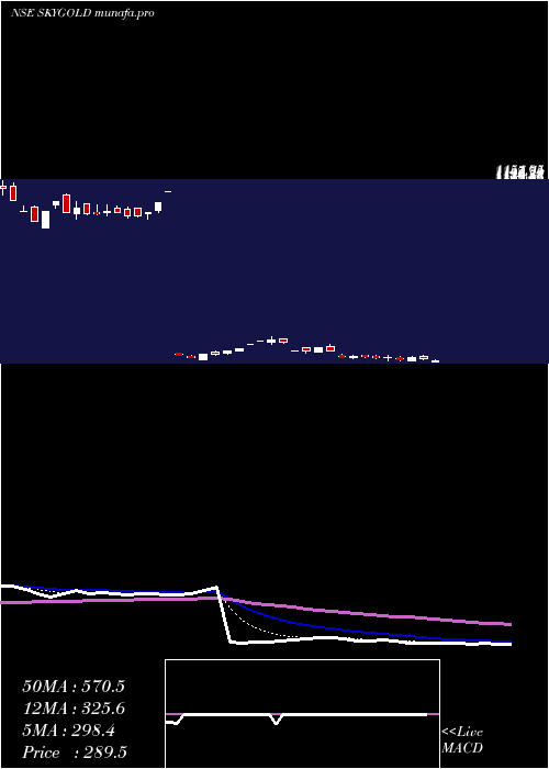 Daily chart SkyGold