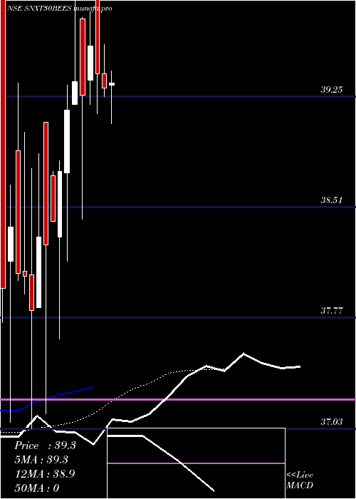 Daily chart NipponamcSnxt30bees